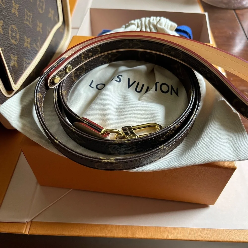 Louis Vuitton pet carrier